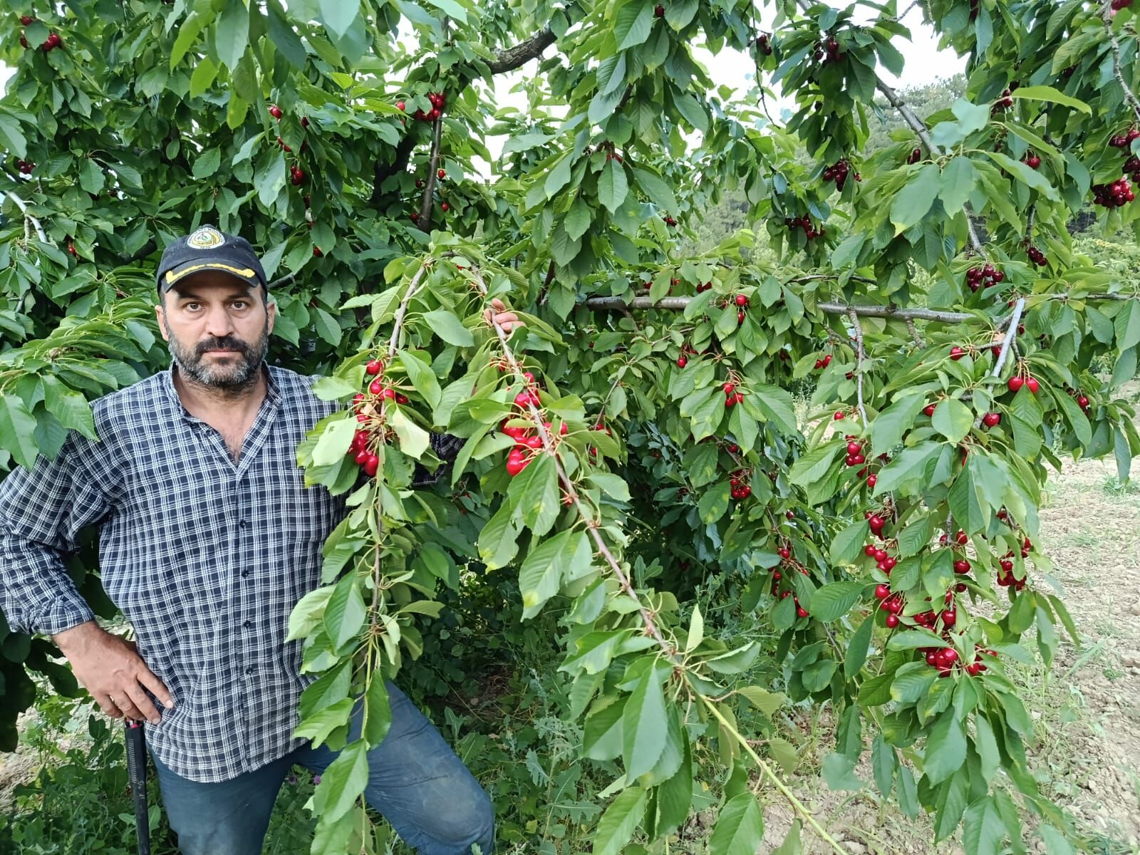 Ali Uzun (4)