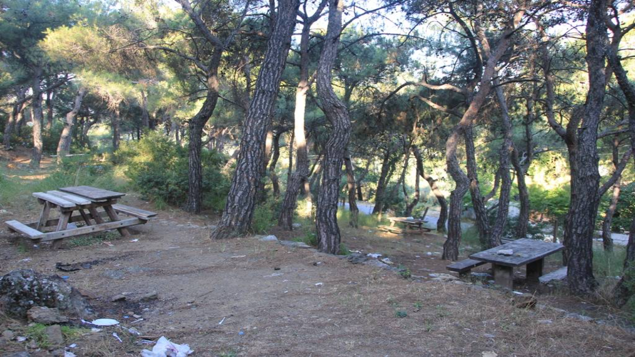 Belkahve Piknik Alanı