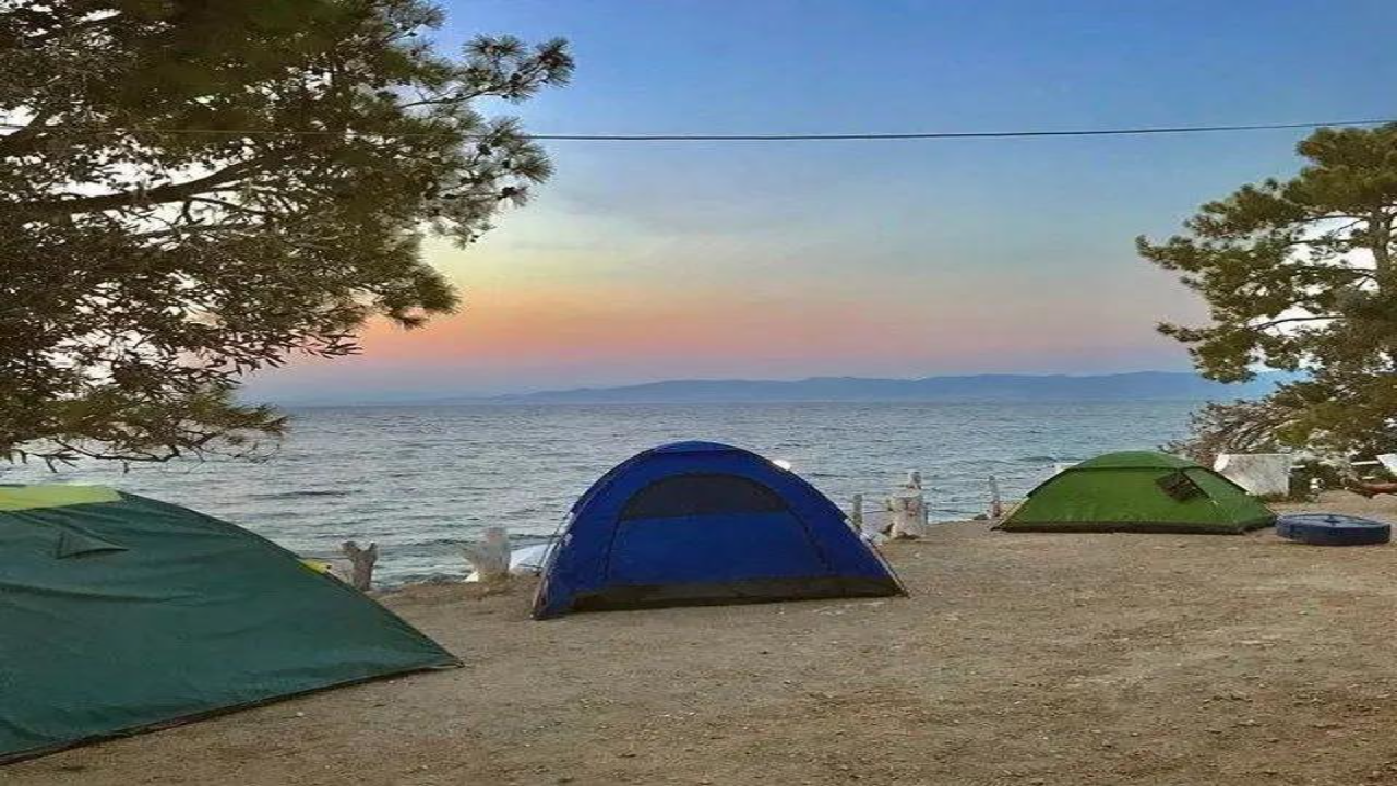 Çam Kamping (Dikili)