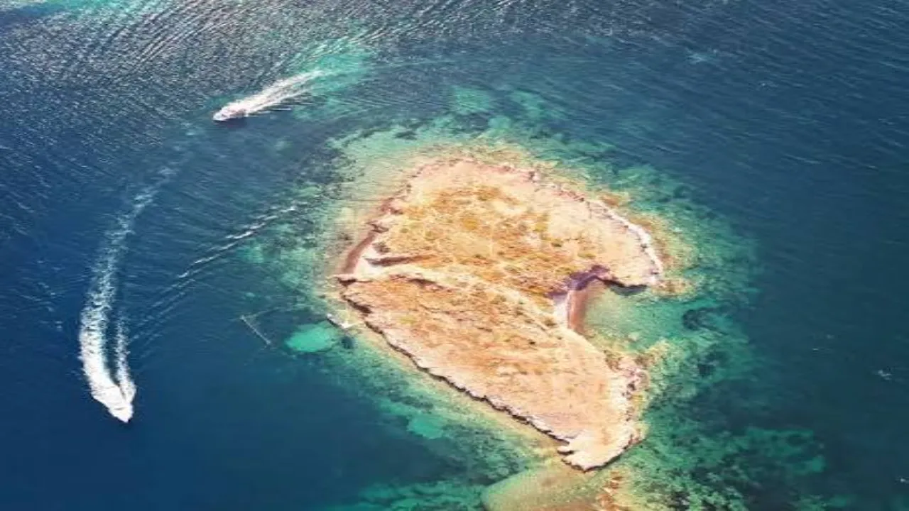 Foça Dalış Noktaları Genel (Örnek İngiliz Burnu Batığı Ve Kanyon)