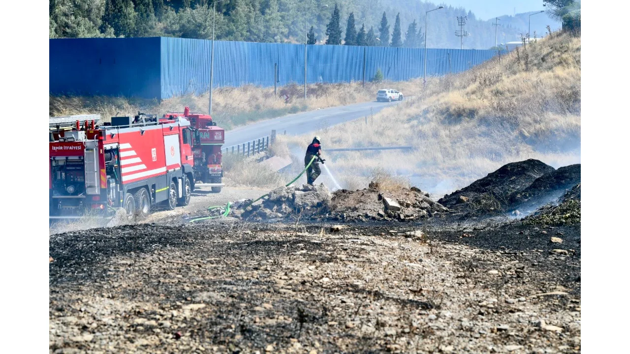 Izmir Itfaiyesi Dumandan Etkilenen Bukalemunu Kurtardi Yenibakishaber (1)