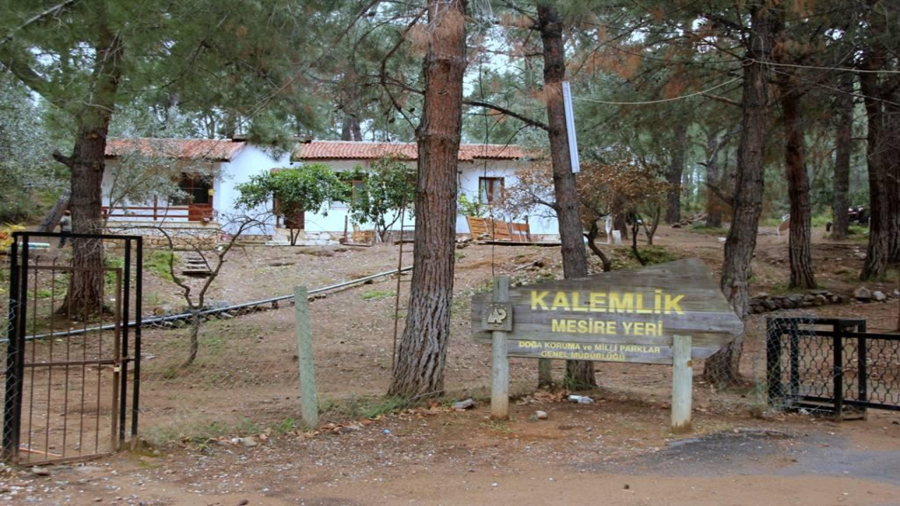 Kalemlik Orman Kampı (Özdere)
