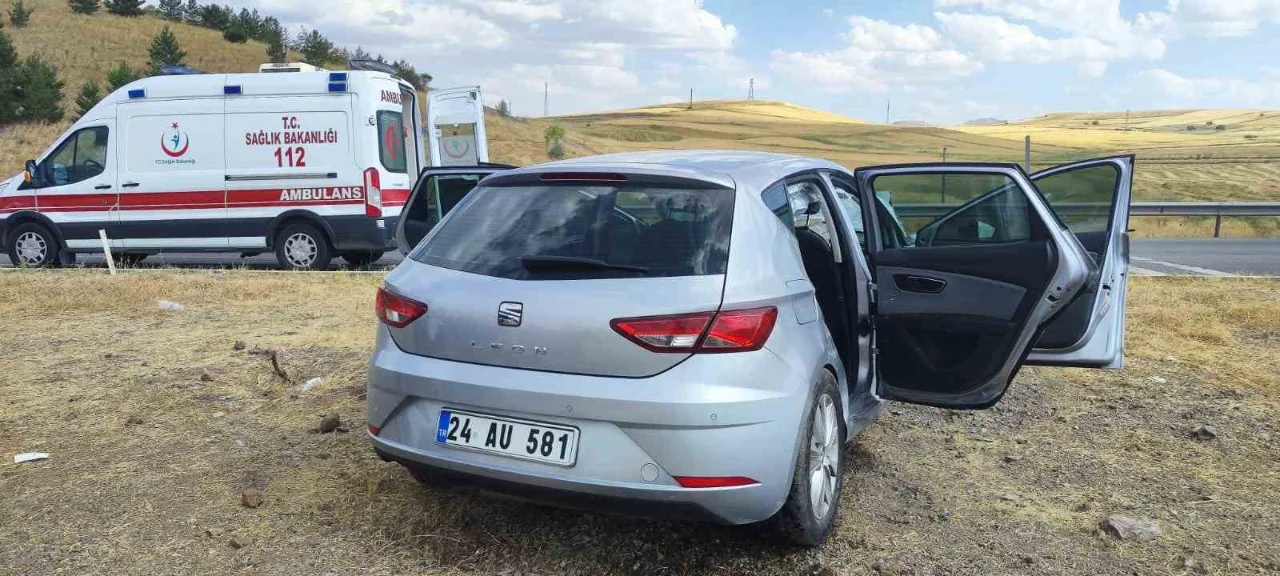 Kavsakta Carpistilar Yenibakishaber