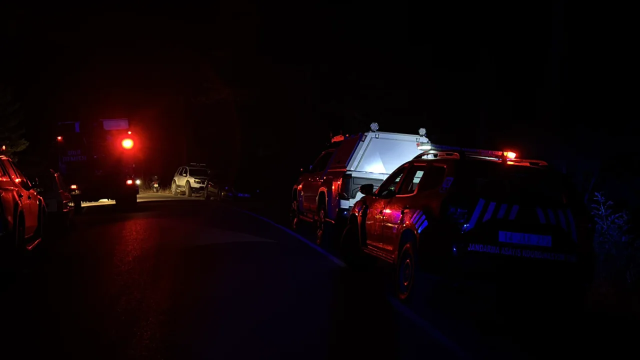 Ormanlik Alana Giden 73 Yasindaki Adam Traktor Kazasinda Hayatini Kaybetti Yenibakishaber
