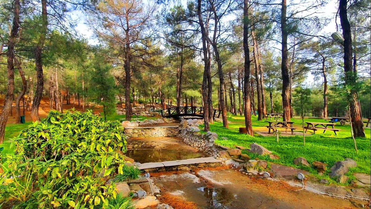 Sarnıç Piknik Alanı