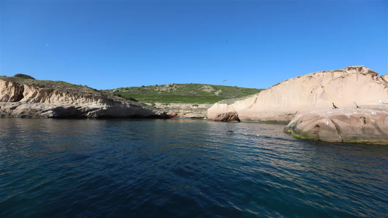 Siren Kayalıkları (Çeşme Foça Arası)