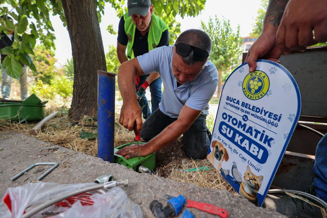 Buca Belediyesinden Sokak Hayvanlarina Can Suyu Yenibakishaber