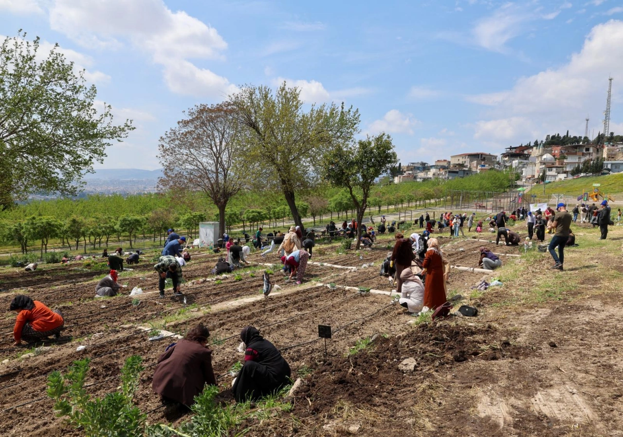Izmirli Kadinlarin Bostan Dayanismasi Sofralara Ulasiyor Yenibakishaber (1)