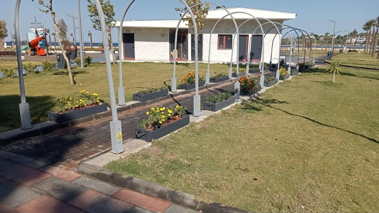 Akköy’de yetişiyor, Didim’in yeşil alanlarıyla buluşuyor