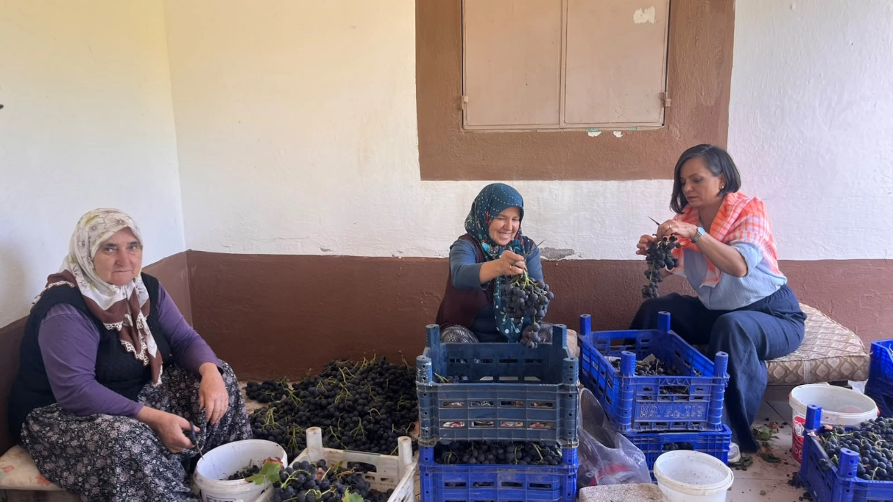 Baskan Kinay Uzum Festivali Oncesi Basinla Bulustu Koylunun Emegini Koruyacagiz Yenibakishaber (2)
