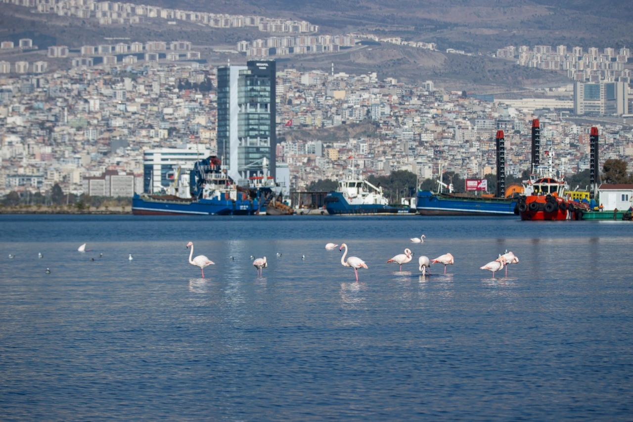 Izmir Iklim Politikalarinda Avrupa Kentleriyle Bulusuyor Yenibakishaber (2)