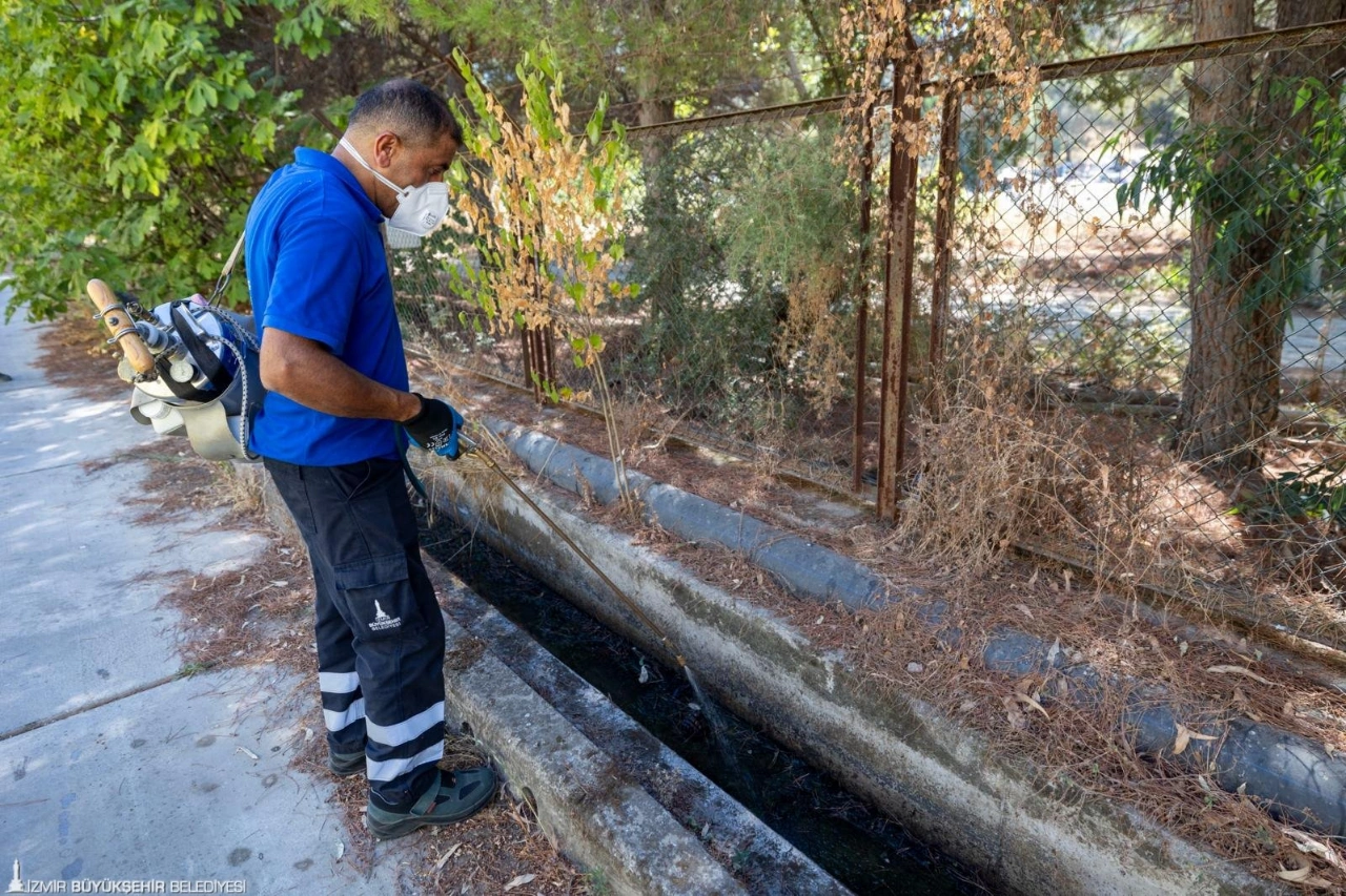 Izmirde Yazlikcilara Sivrisinek Uyarisi Durgun Su Birakmayin Yenibakishaber (4)