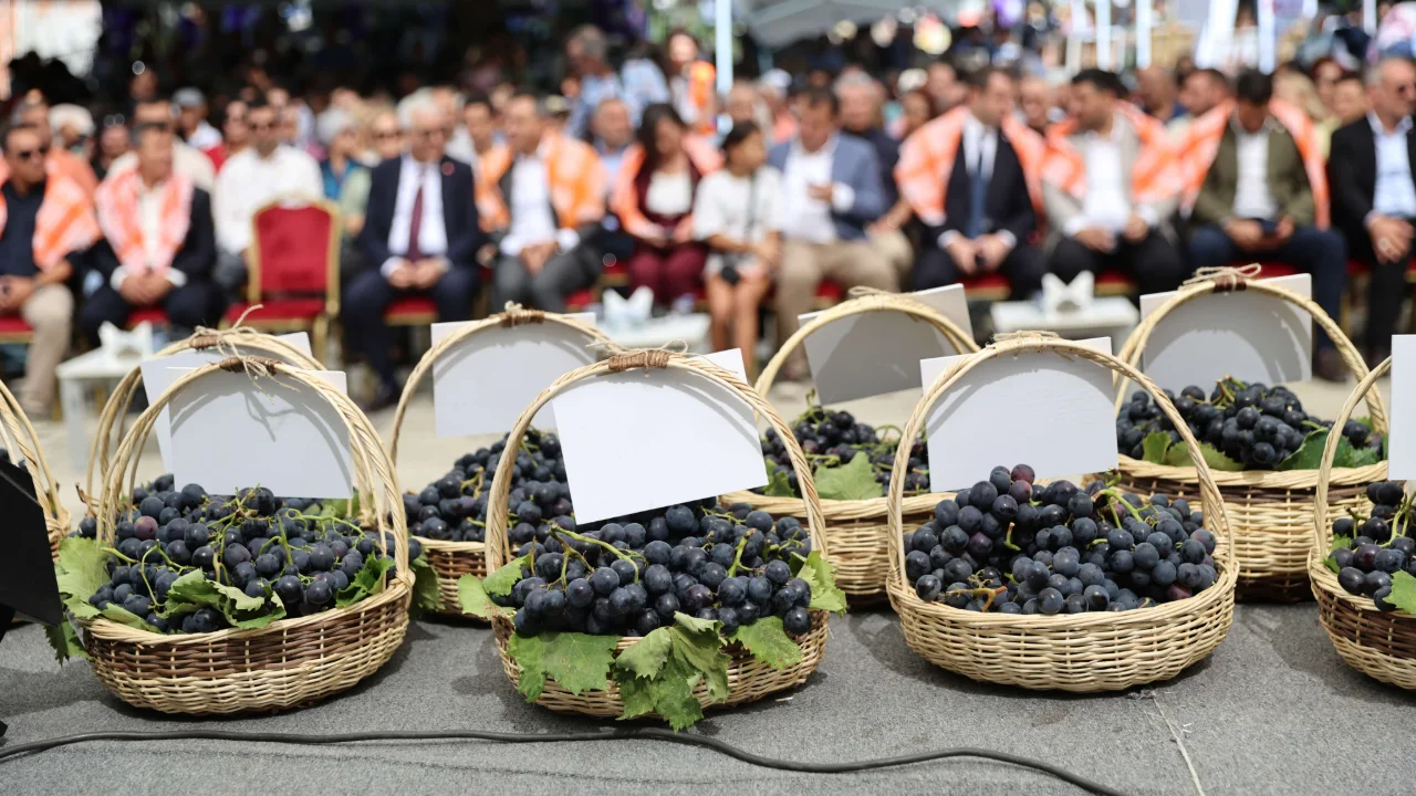 Kavacik Uzum Festivali Ureticinin Emegiyle Basladi Yenibakishaber