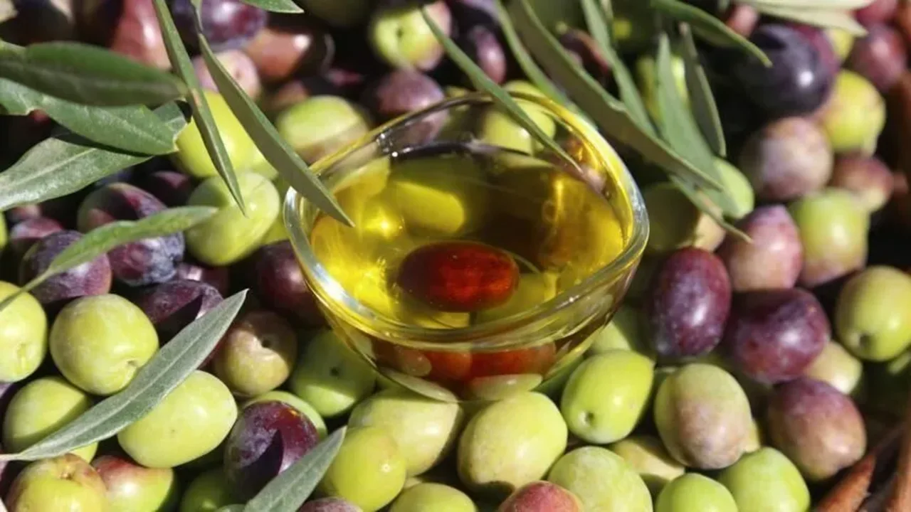 Zeytin Yenibakishaber