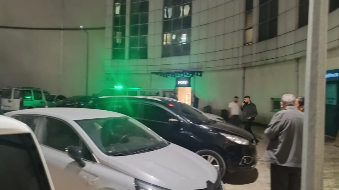 Agacta Asili Halde Bulundu2 Yenibakishaber