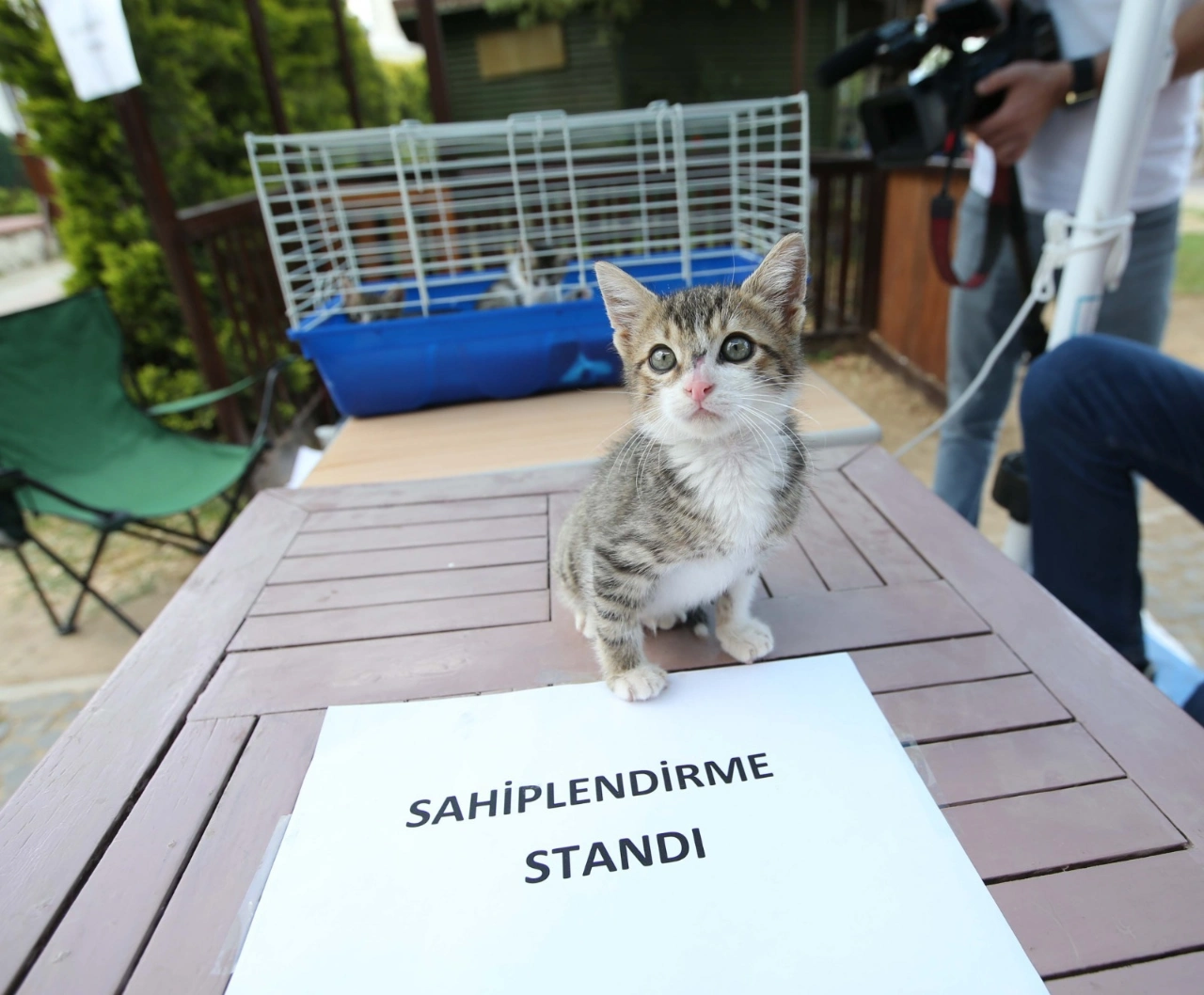 Bir Nota Bir Yuva Bulusmasi 4 Ekimde Tay Parkta Yenibakishaber (1)