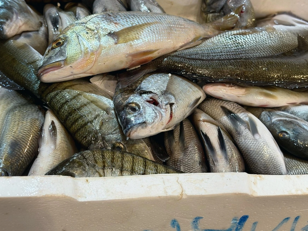 Buca Balik Hali Nde Denetim 45 Kilo Urune El Konuldu Yenibakishaber