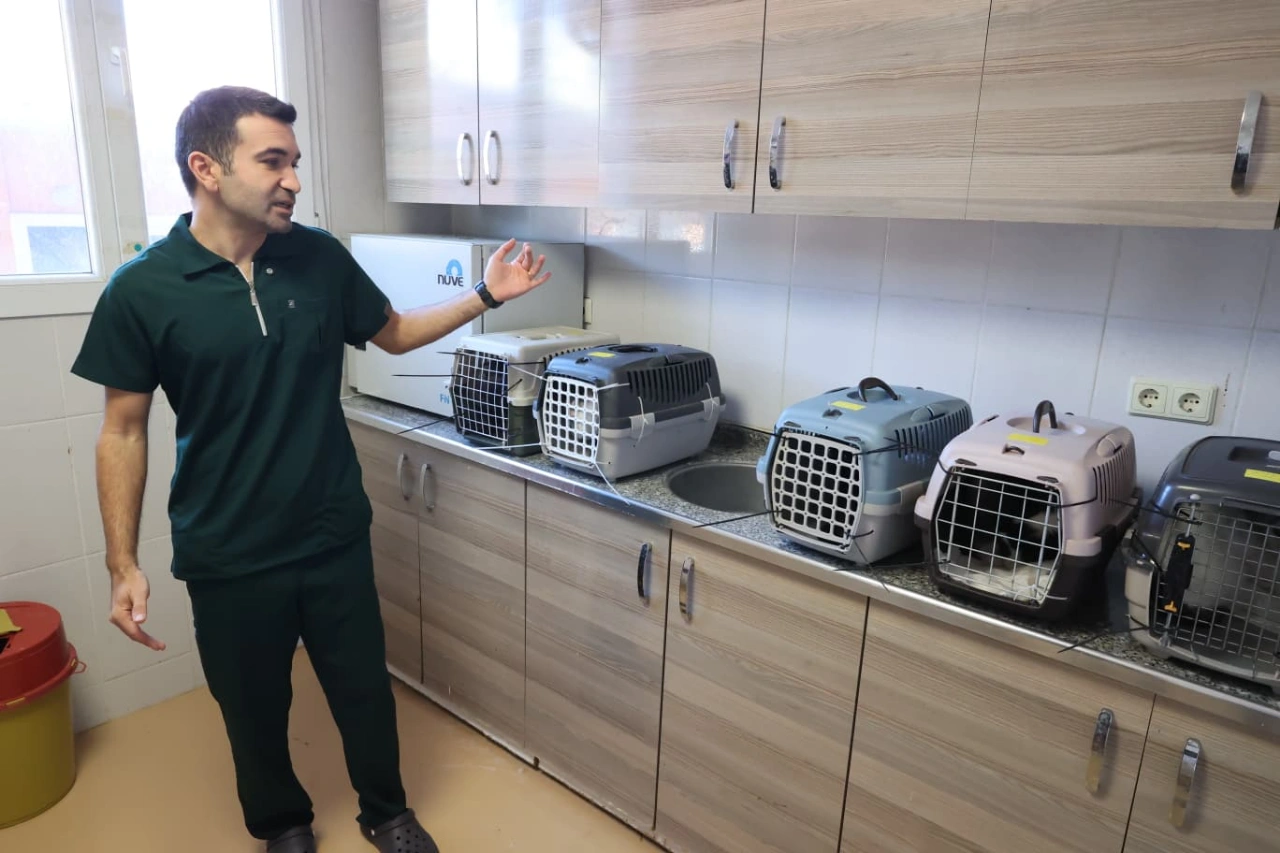 Buca Da Sokak Hayvanlari Uzerinden Ortaya Atilan Iddialara Yanit Yenibakishaber (2)