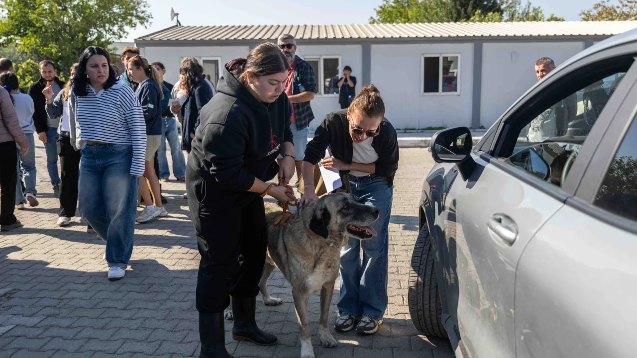 Can Dostlari Yeni Sahipleriyle Bulustu Yenibakishaber (1)