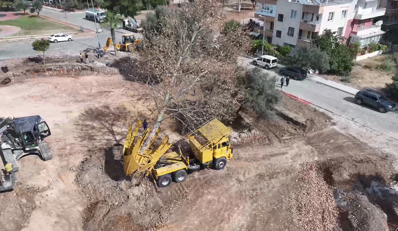 Didim De Kaykay Parki Projesinde Yesil Alanlara Koruma Yenibakishaber