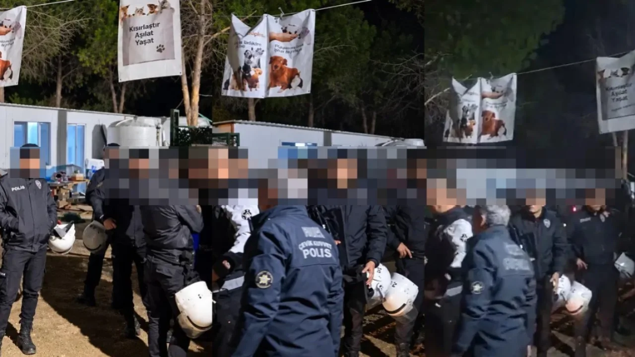 Ege Üniversitesi'nde gece yarısı arbede: Yaklaşık 200 köpek toplatıldı