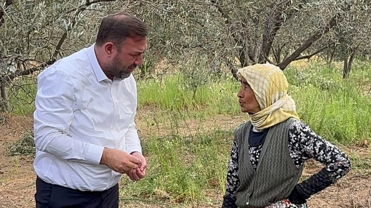 Gumrukcu Dikili Den Seslendi Daldaki Altin Tarlada Kalacak Acil Onlem Alin Yenibakishaber (2)