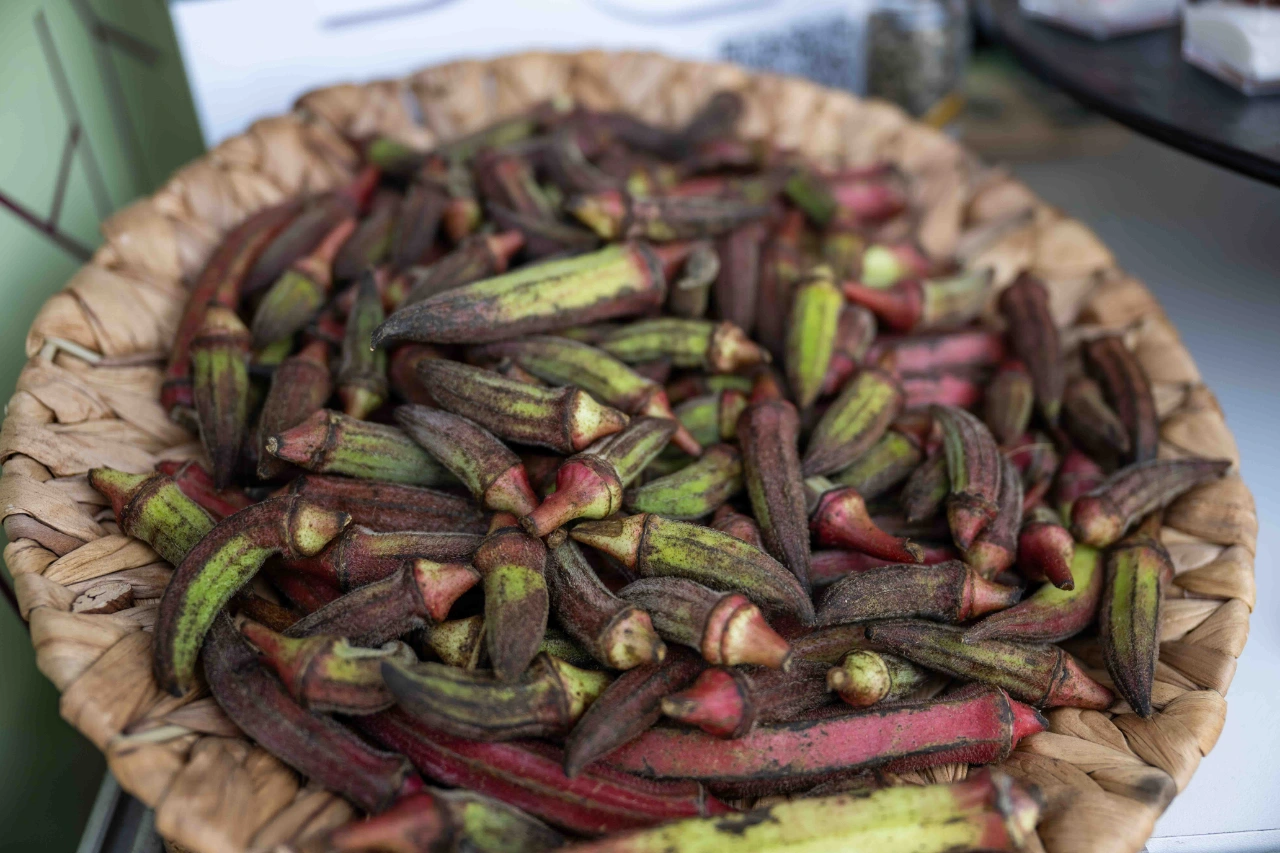 Izmir Gastrofest Te Bornova Ruzgari Kinali Bamya Ya Yogun Ilgi Yenibakishaber (1)
