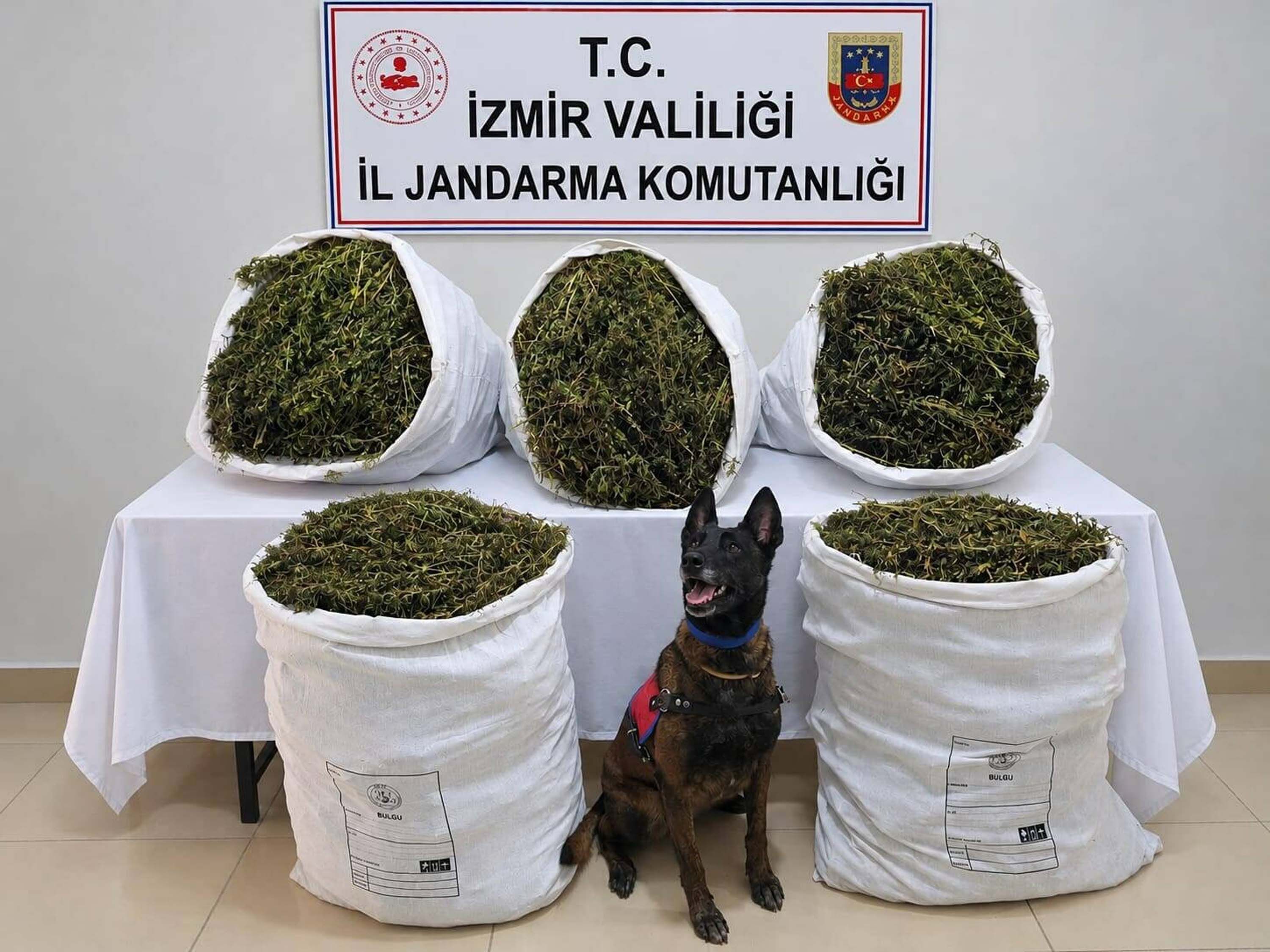 İzmir’de yasaklı madde operasyonu: Ele geçirilen esrarın miktarı dikkat çekti