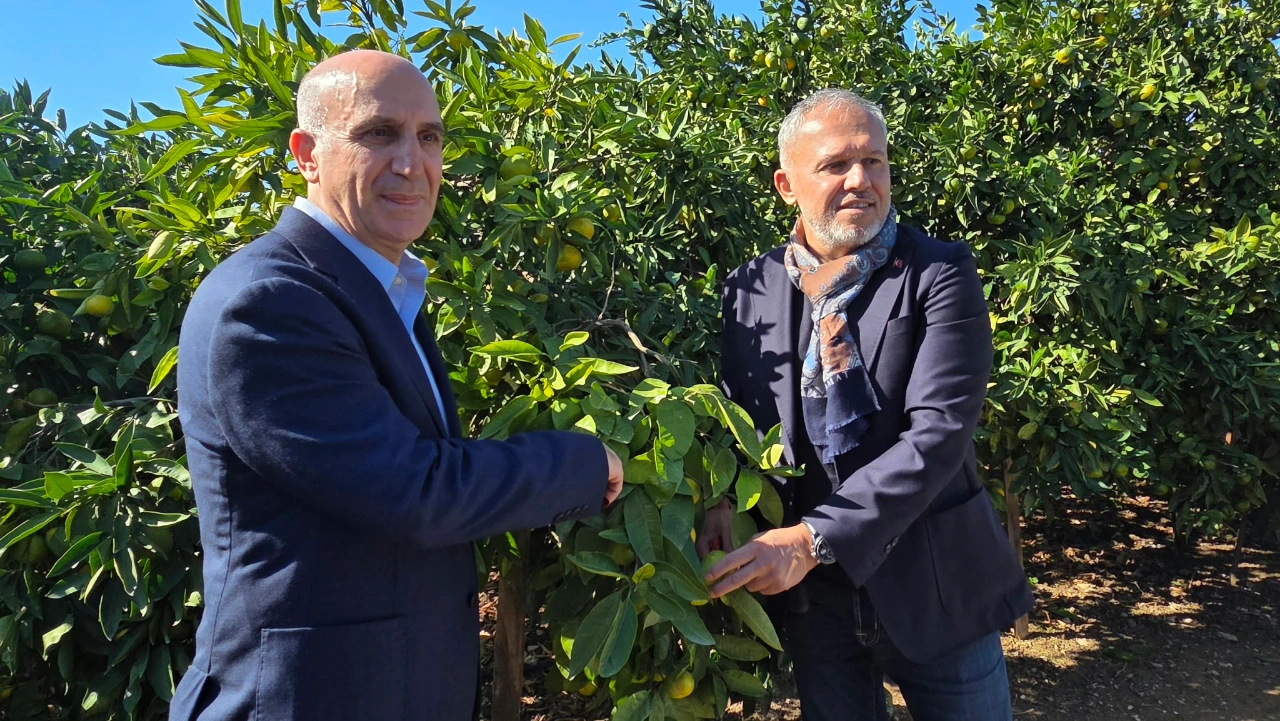 Satsuma Mandalinasi Ihracat Yolunda Yenibakishaber (3)